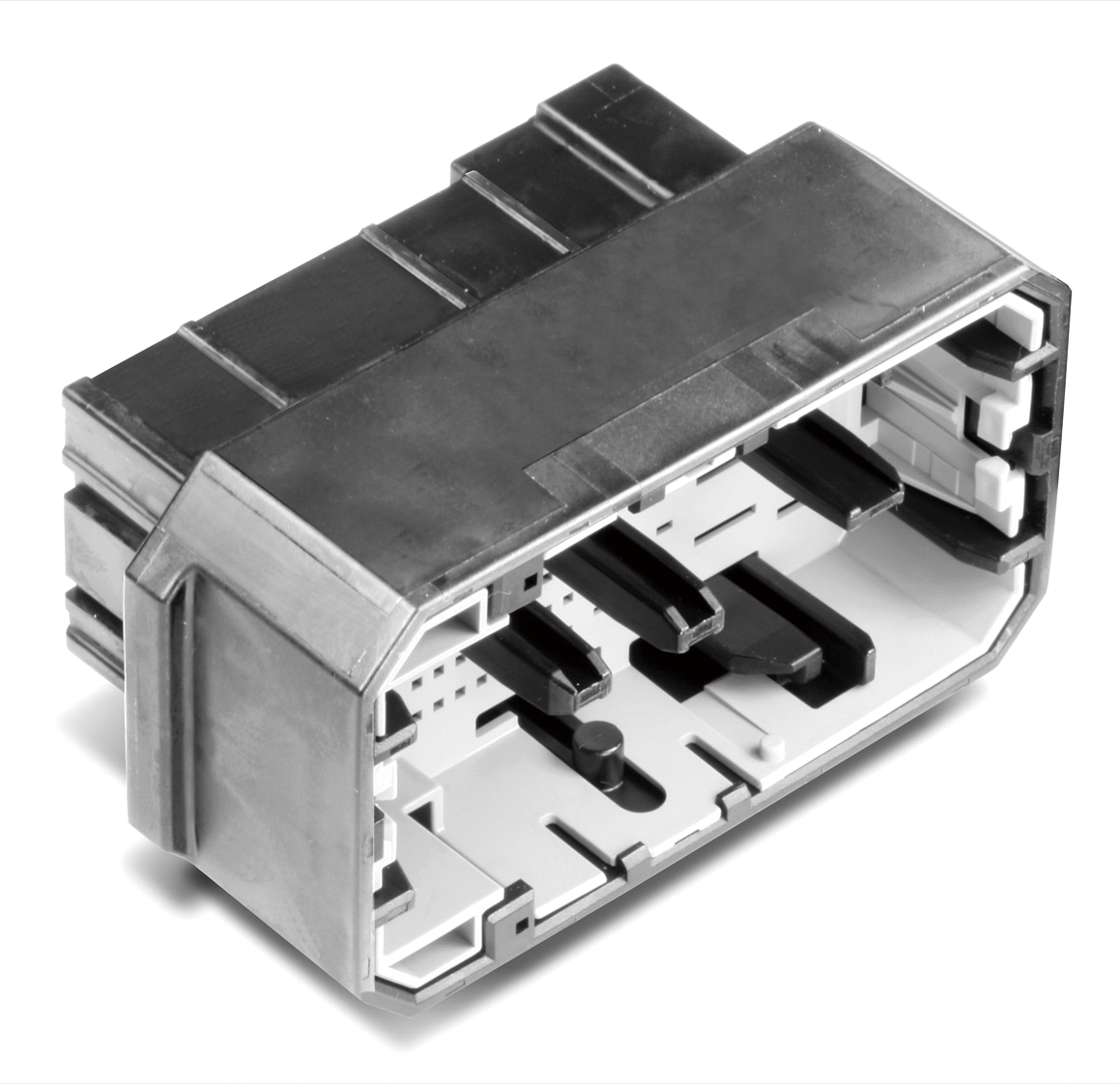 MG645921-2
